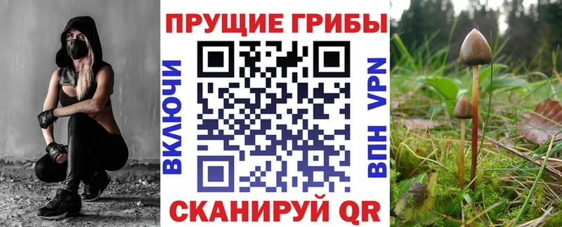 hydra   где можно купить   Коряжма  Псилоцибиновые грибы Psilocybe 