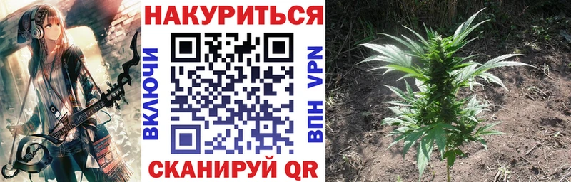 где купить наркоту  блэк спрут онион  Бошки Шишки THC 21%  Коряжма 